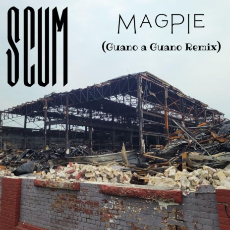 Magpie (Guano a Guano Remix) | Boomplay Music