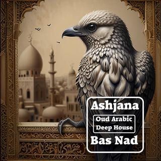 Ashjana (Oud Arabic Deep House)