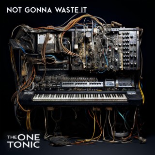 Not Gonna Waste It lyrics | Boomplay Music