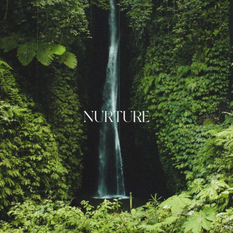 Nurture | Boomplay Music