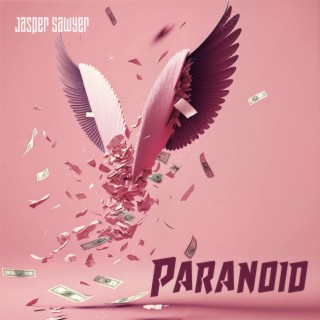 Paranoid (Over Some Money) lyrics | Boomplay Music