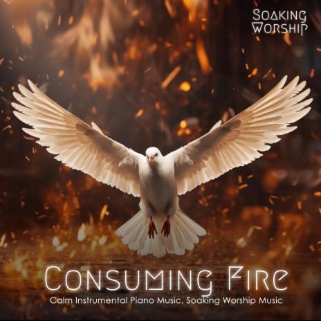 Consuming Fire | Boomplay Music