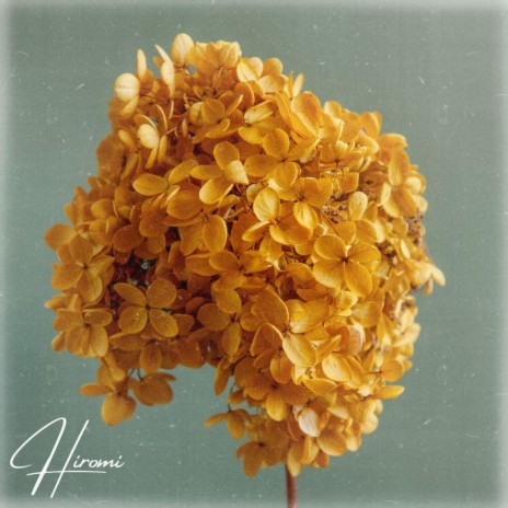 Harmony of Orange Blossoms | Boomplay Music