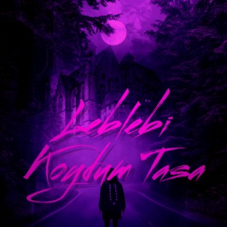 Leblebi Koydum Tasa (Remix)