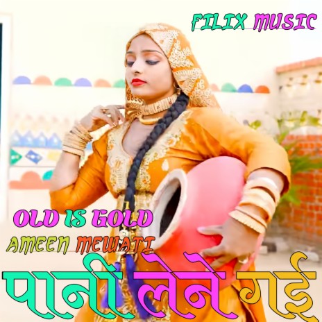 Pani lene gai | Boomplay Music