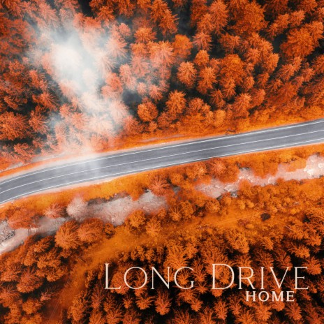 The Long Road | Boomplay Music