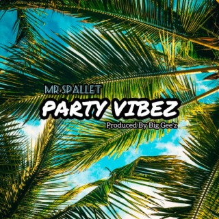 Party Vibez lyrics | Boomplay Music
