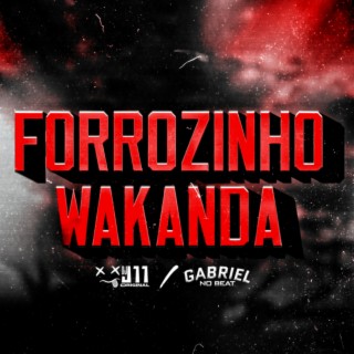 Forrózinho Wakanda