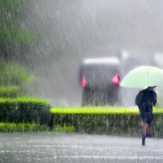 Torrential Downpour