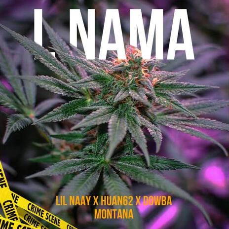 L NAMA ft. Huan62 & Dowba Montana | Boomplay Music