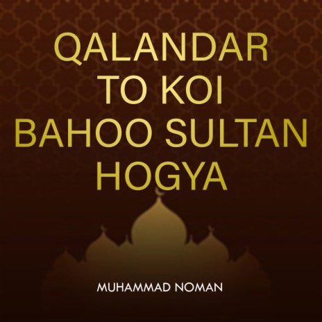 Qalandar To Koi Bahoo Sultan Hogya | Boomplay Music