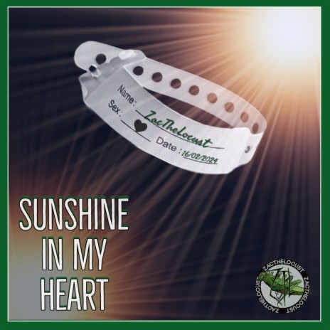 Sunshine In My Heart | Boomplay Music