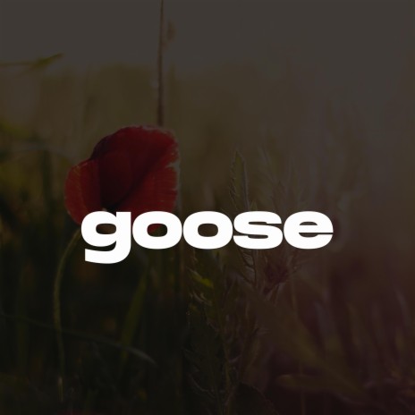 Goose (Melodic Drill Type Beat) | Boomplay Music