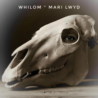 Mari Lwyd