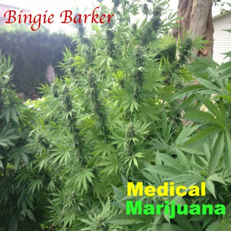 Medical Marijuana | Boomplay Music