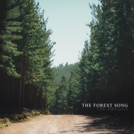 The Forest Song | Boomplay Music