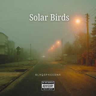 Solar Birds (innervision)