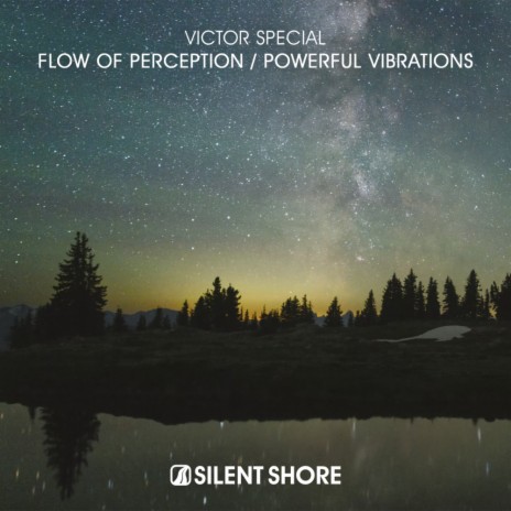 Powerful Vibrations (Extended Mix)