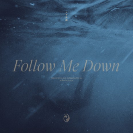 Follow Me Down | Boomplay Music