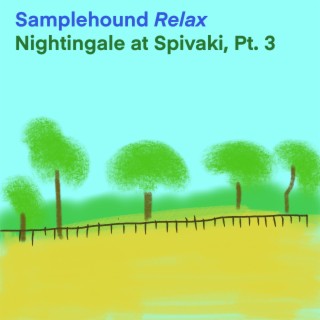Nightingale at Spivaki, Pt. 3