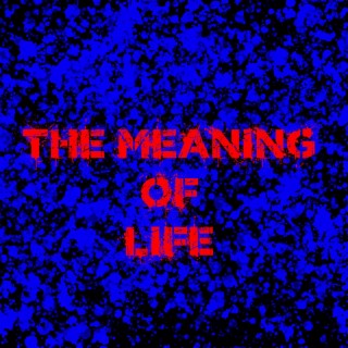 The meaning of life