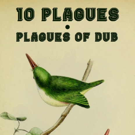 10 Plagues | Boomplay Music