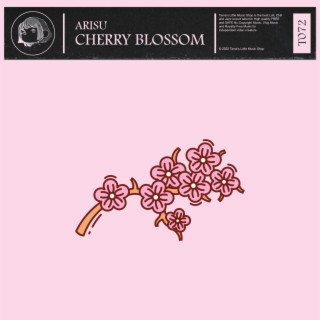 Cherry Blossom