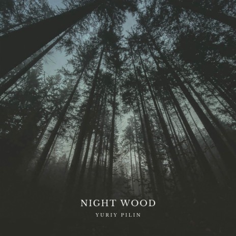 Night Wood | Boomplay Music