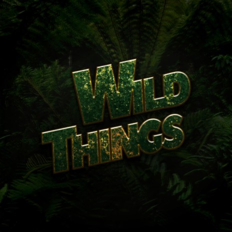 Wild Things | Boomplay Music