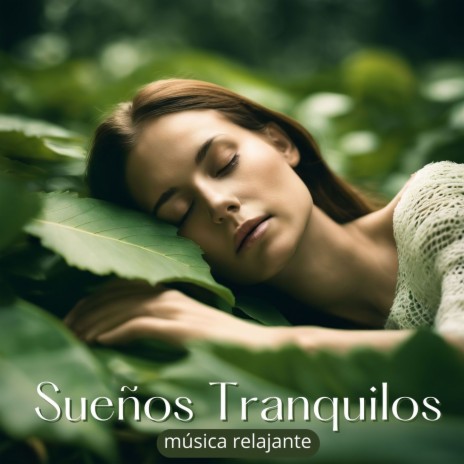 Download Various Artists album songs: Sueños Tranquilos - Música Relajante  para Dormir Tranquilo y Tener Sueños Hermosos