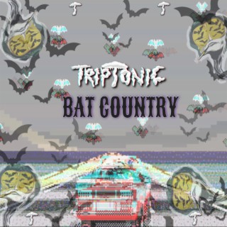 BAT COUNTRY