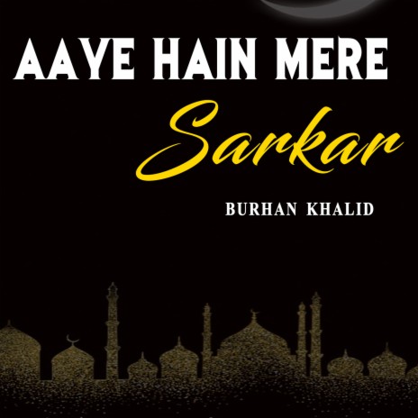 Aaye Hain Mere Sarkar | Boomplay Music