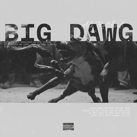 BIG DAWG | Boomplay Music