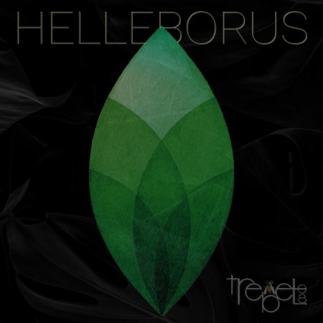 Helleborus | Boomplay Music