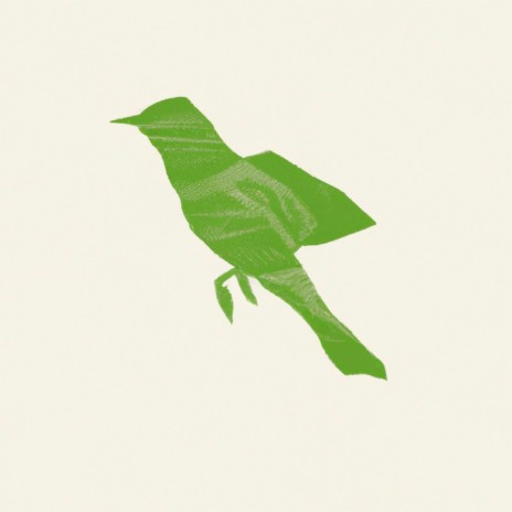 bird | Boomplay Music