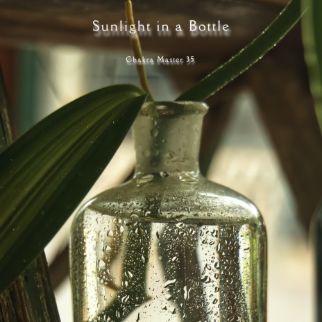 Sunlight in a Bottle | Boomplay Music