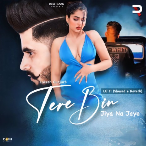 Tere Bin Jiya Na Jaye (Lo-Fi Slowed & Reverb) | Boomplay Music