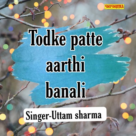 Todke Patte Aarthi Banali | Boomplay Music