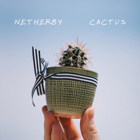 Cactus | Boomplay Music