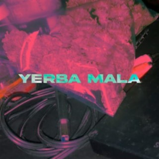 Yerba Mala