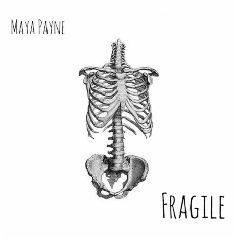 Fragile | Boomplay Music