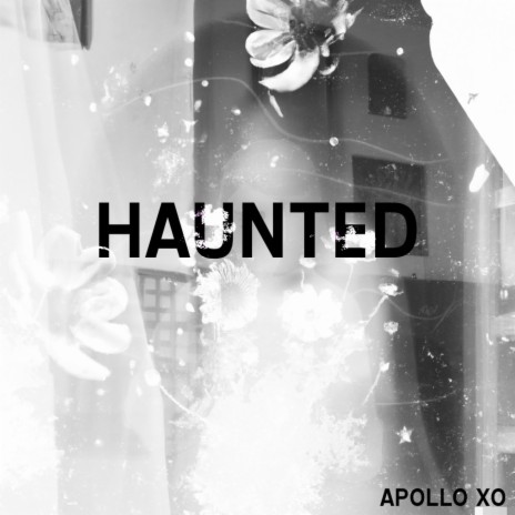 Haunted (Radio Edit) | Boomplay Music