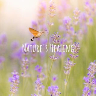 Nature's Healing