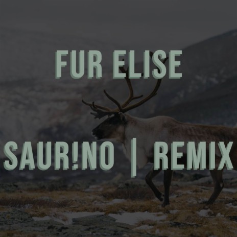 Für Elise (Remix) | Boomplay Music