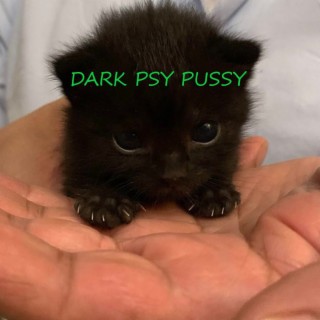 Dark Psy Pussy