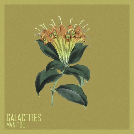 Galactites | Boomplay Music