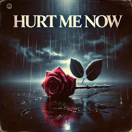 Hurt Me Now | Boomplay Music