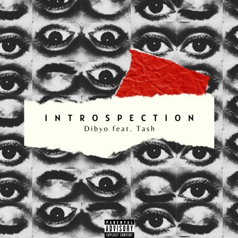 Introspection (feat. Tash) | Boomplay Music