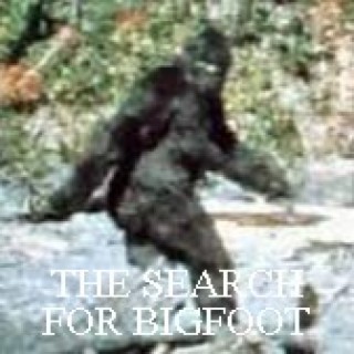 THE SEARCH FOR BIGFOOT