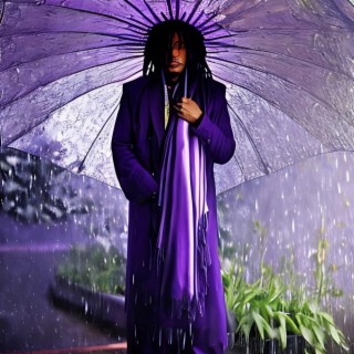 PURPLE IN THE RAIN